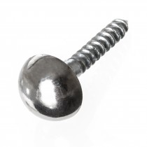 Mirror Screw