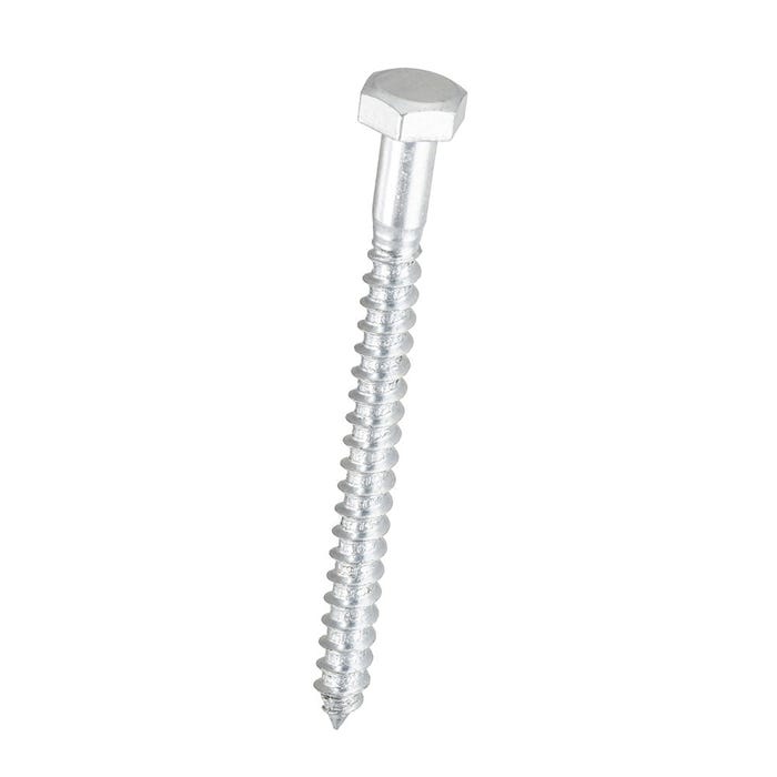 Hex Head Screw